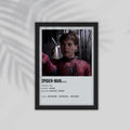 Spiderman Film Framed Poster