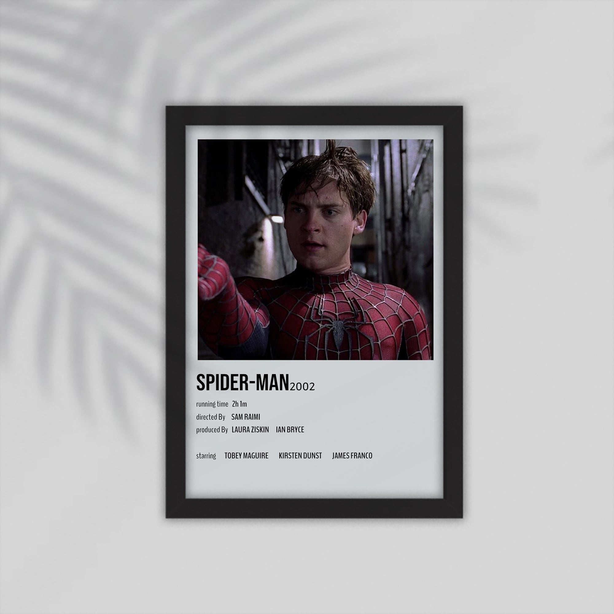 Spiderman Film Framed Poster