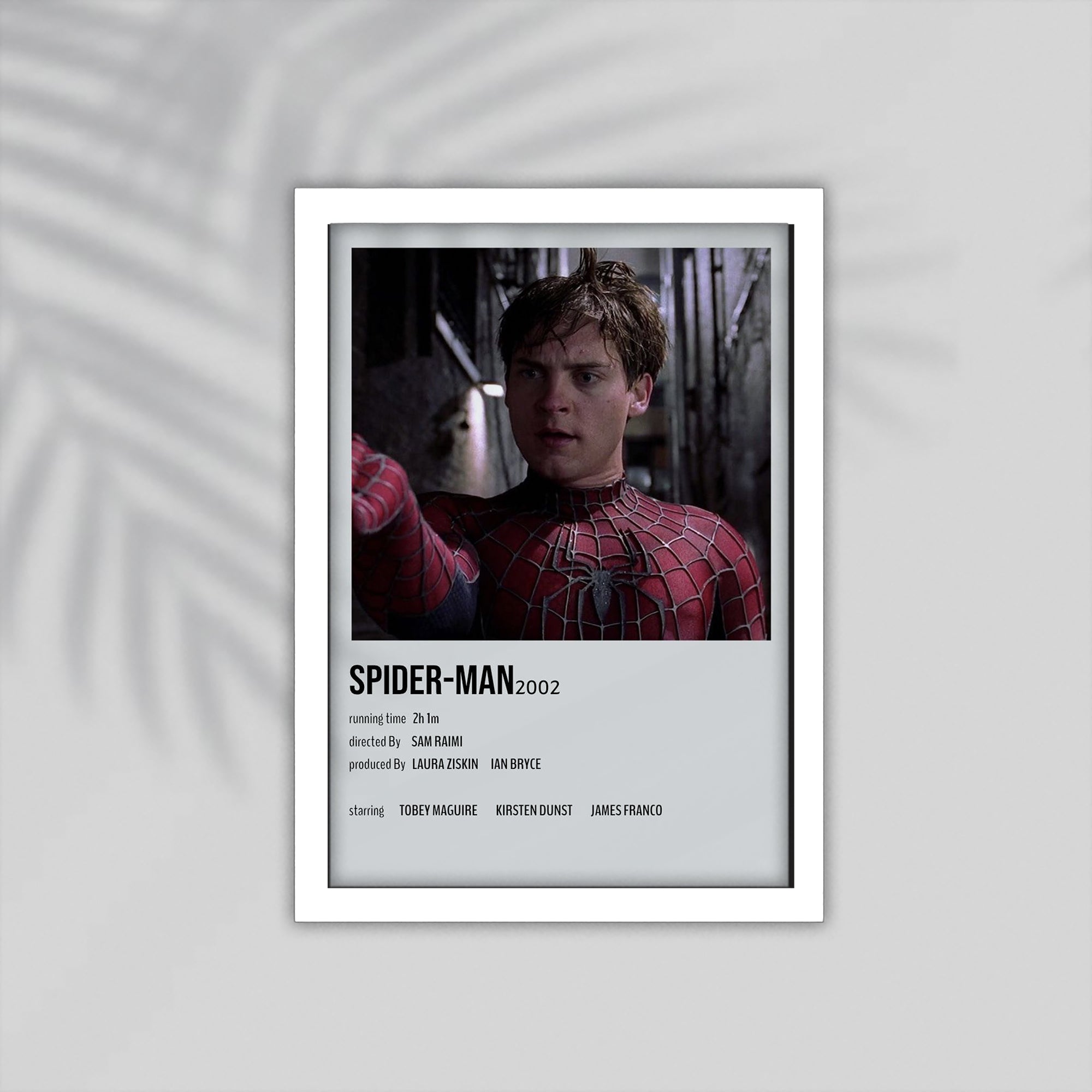 Spiderman Film Framed Poster